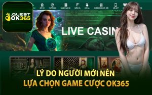 Lý Do Người Mới Nên Lựa Chọn Game Cược OK365